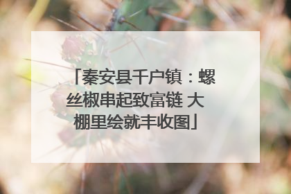 秦安县千户镇：螺丝椒串起致富链 大棚里绘就丰收图