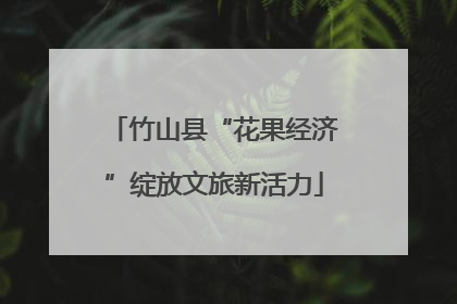 竹山县“花果经济”绽放文旅新活力