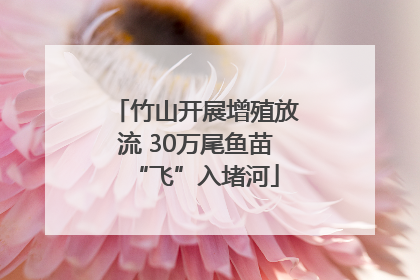 竹山开展增殖放流 30万尾鱼苗“飞”入堵河