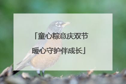 童心粽意庆双节 暖心守护伴成长