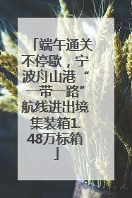 端午通关不停歇，宁波舟山港“一带一路”航线进出境集装箱1.48万标箱