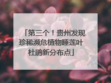 第三个！贵州发现珍稀濒危植物睡莲叶杜鹃新分布点