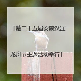 第二十五届安康汉江龙舟节主题活动举行