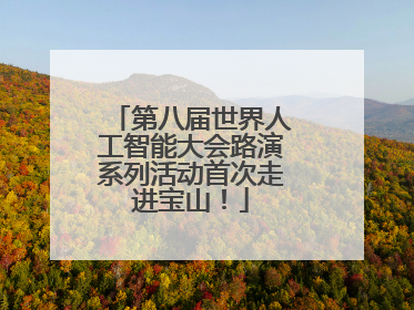 第八届世界人工智能大会路演系列活动首次走进宝山！