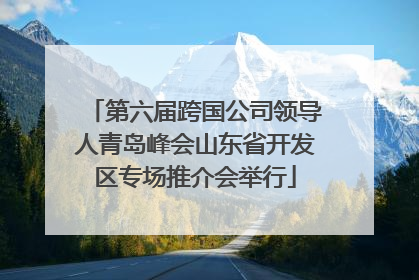 第六届跨国公司领导人青岛峰会山东省开发区专场推介会举行