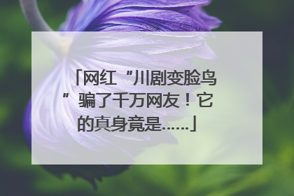 网红“川剧变脸鸟”骗了千万网友！它的真身竟是……