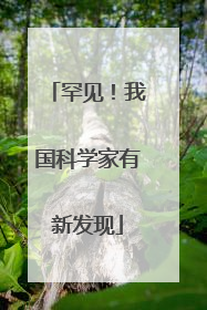 罕见！我国科学家有新发现