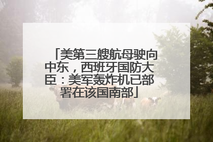 美第三艘航母驶向中东，西班牙国防大臣：美军轰炸机已部署在该国南部