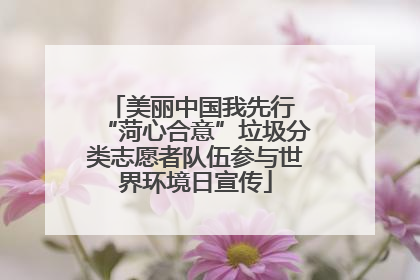 美丽中国我先行 “菏心合意”垃圾分类志愿者队伍参与世界环境日宣传