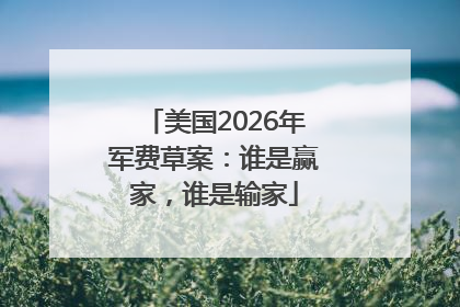 美国2026年军费草案：谁是赢家，谁是输家