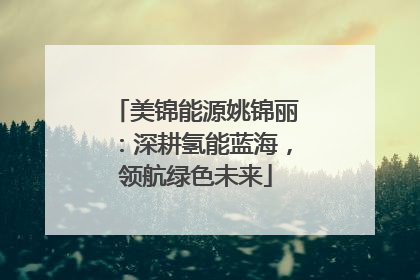 美锦能源姚锦丽：深耕氢能蓝海，领航绿色未来