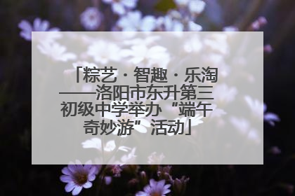 粽艺・智趣・乐淘——洛阳市东升第三初级中学举办“端午奇妙游”活动