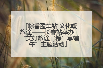 粽香盈车站 文化暖旅途——长春站举办 “美好旅途‘粽’享端午”主题活动