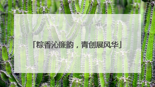 粽香沁廉韵，青创展风华