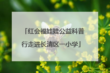 红会福娃娃公益科普行走进长清区一小学