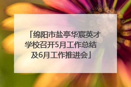 绵阳市盐亭华宸英才学校召开5月工作总结及6月工作推进会