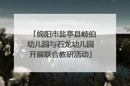 绵阳市盐亭县岐伯幼儿园与石龙幼儿园开展联合教研活动
