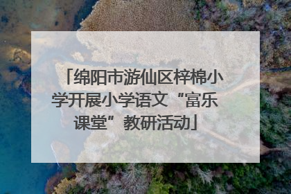 绵阳市游仙区梓棉小学开展小学语文“富乐课堂”教研活动