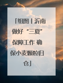 组图丨沂南做好“三夏”保障工作 确保小麦颗粒归仓