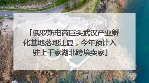 俄罗斯电商巨头武汉产业孵化基地落地江夏，今年预计入驻上千家湖北跨境卖家