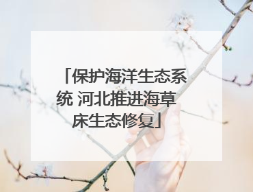 保护海洋生态系统 河北推进海草床生态修复