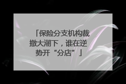 保险分支机构裁撤大潮下，谁在逆势开“分店”