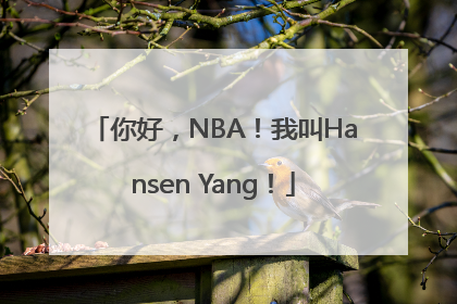 你好，NBA！我叫Hansen Yang！