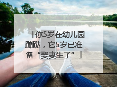 你5岁在幼儿园蹦跶,它5岁已准备“娶妻生子”