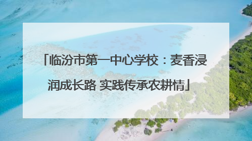 临汾市第一中心学校：麦香浸润成长路 实践传承农耕情