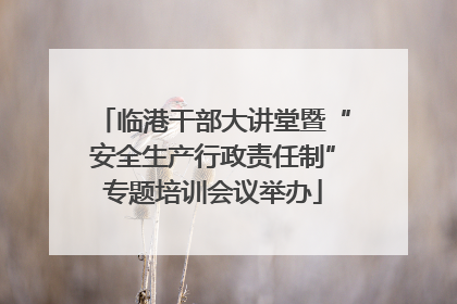 临港干部大讲堂暨“安全生产行政责任制”专题培训会议举办