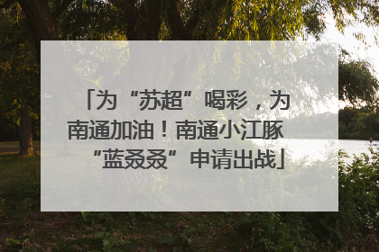 为“苏超”喝彩，为南通加油！南通小江豚“蓝叒叒”申请出战