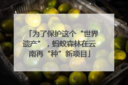 为了保护这个“世界遗产”，蚂蚁森林在云南再“种”新项目