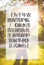 为千年农遗保驾护航！《丽水市青田稻鱼共生系统保护发展条例》正式施行