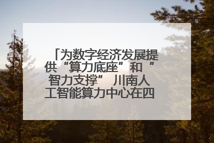 为数字经济发展提供“算力底座”和“智力支撑” 川南人工智能算力中心在四川泸州启动
