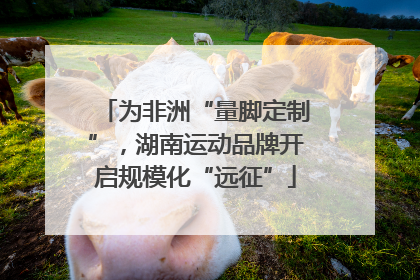 为非洲“量脚定制”，湖南运动品牌开启规模化“远征”