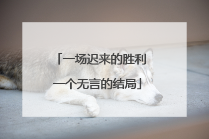 一场迟来的胜利 一个无言的结局