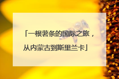 一根薯条的国际之旅，从内蒙古到斯里兰卡