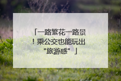 一路繁花一路景！乘公交也能玩出“旅游感”