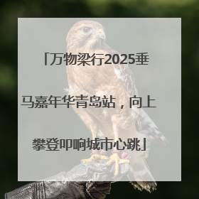 万物梁行2025垂马嘉年华青岛站，向上攀登叩响城市心跳