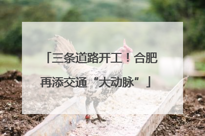 三条道路开工！合肥再添交通“大动脉”