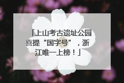 上山考古遗址公园喜提“国字号”，浙江唯一上榜！