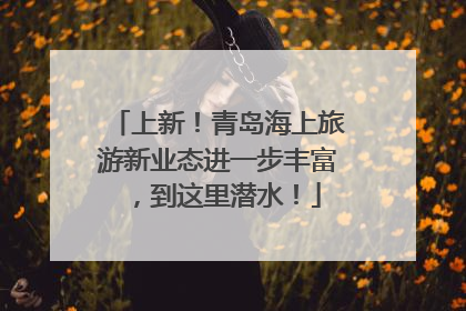 上新！青岛海上旅游新业态进一步丰富，到这里潜水！