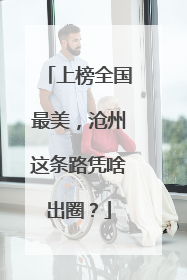 上榜全国最美，沧州这条路凭啥出圈？