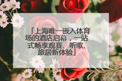 上海唯一嵌入体育场的酒店启幕，一站式畅享观赛、听歌、旅居新体验