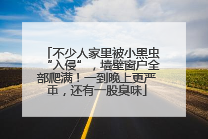 不少人家里被小黑虫“入侵”，墙壁窗户全部爬满！一到晚上更严重，还有一股臭味