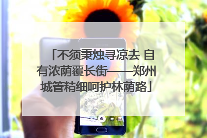 不须秉烛寻凉去 自有浓荫覆长街——郑州城管精细呵护林荫路