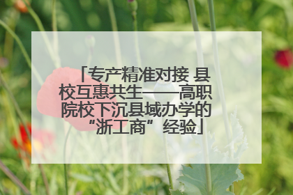 专产精准对接 县校互惠共生——高职院校下沉县域办学的“浙工商”经验