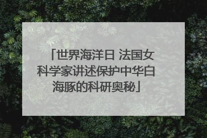 世界海洋日 法国女科学家讲述保护中华白海豚的科研奥秘