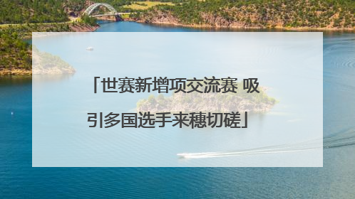 世赛新增项交流赛 吸引多国选手来穗切磋