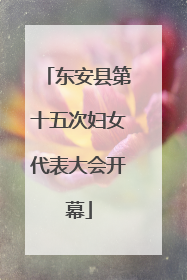 东安县第十五次妇女代表大会开幕
